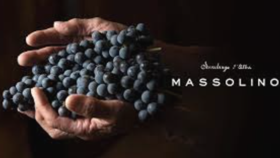 (image for) Massolino BAROLO RISERVA VIGNA RIONDA 2014 [GL ]